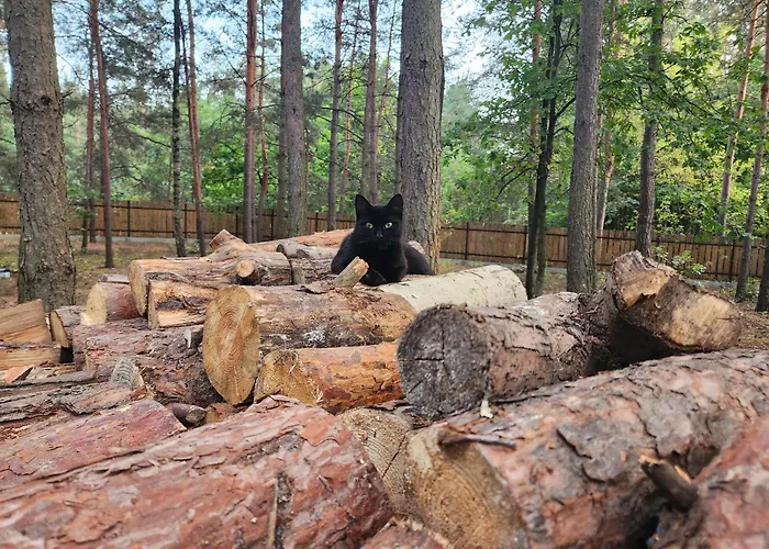 Leśna Osada * Wieliszew