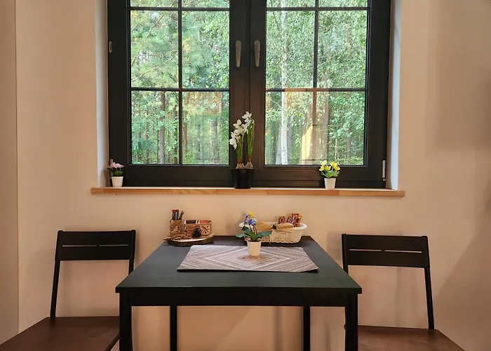 Leśna Osada Wieliszew